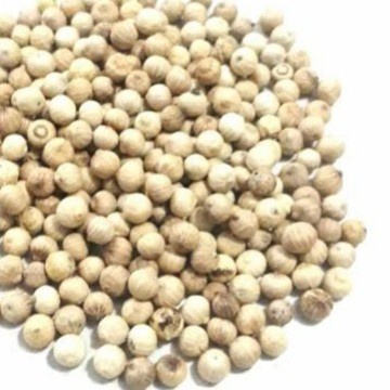 

Biji Lada Putih 500 Gram Utuh Bukan Bubuk Merica Pure Organik Original