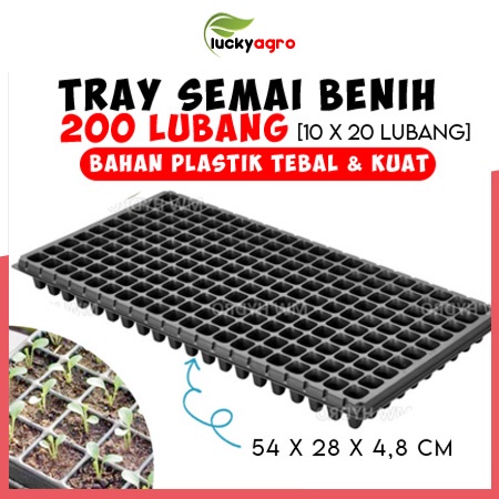 Tray Semai 200 Lubang Benih Bibit  Tebal