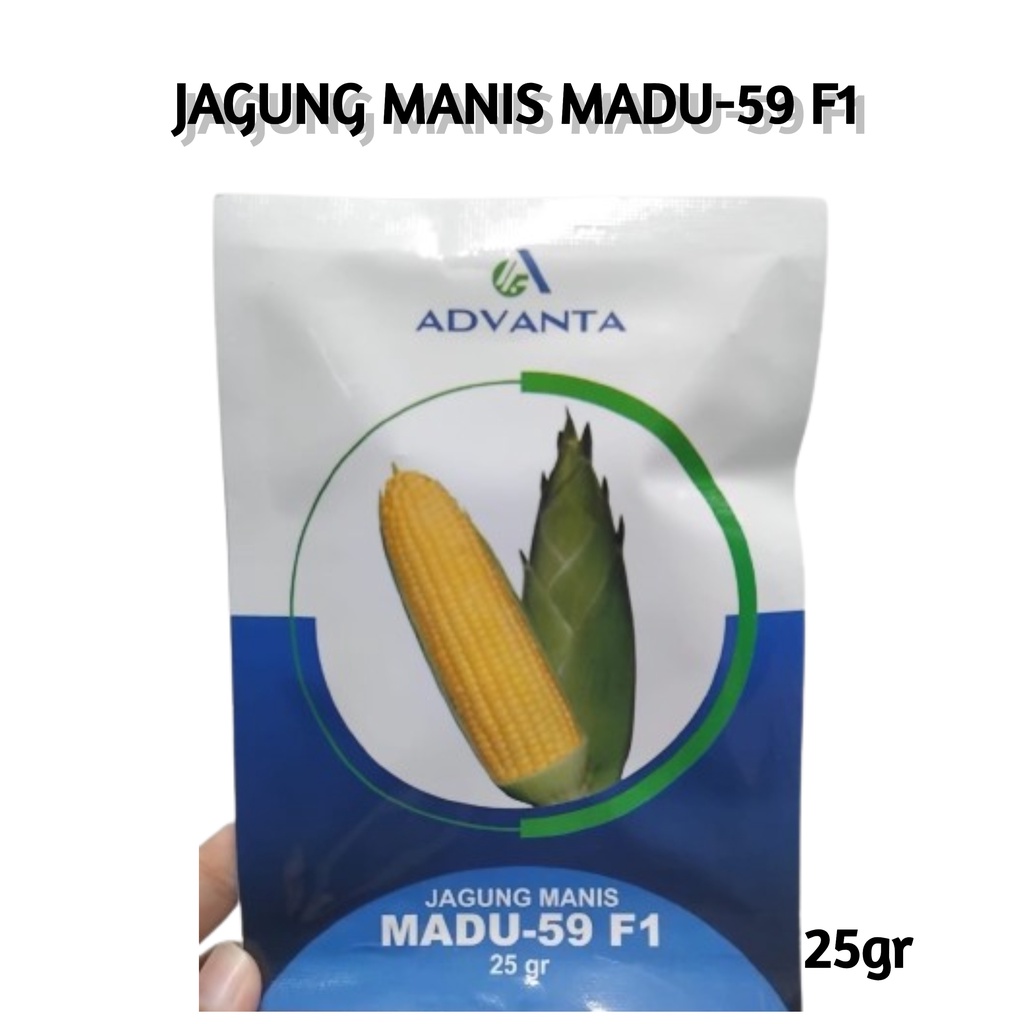 Benih Jagung Manis Hibrida Madu 59 F1 25gr Bibit Biji Kuning Advanta