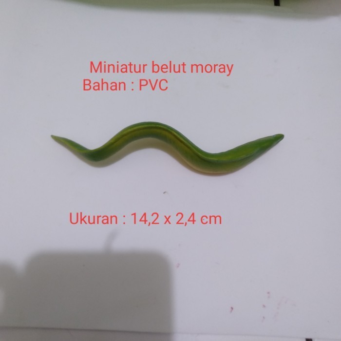 ✔Girya.Syo✔ - SALE Miniatur Belut Moray