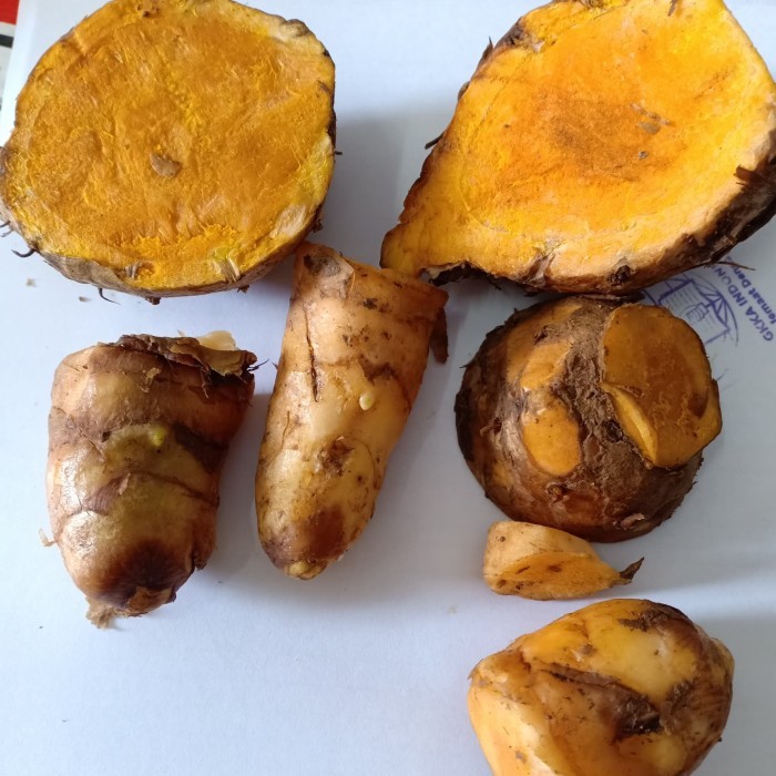 

TEMULAWAK UKURAN BESAR (FRESH )