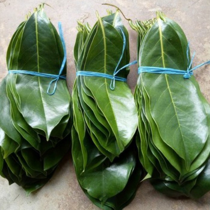 

Daun sirsak segar - daun nangka belanda segar obat herbal 500 gram