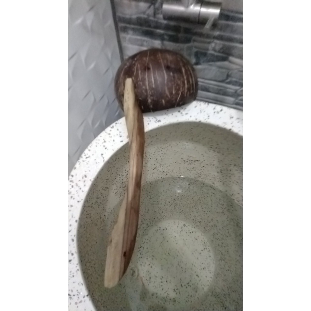 Gayung Batok Gayung mandi Jebor Batok Kelapa unik Gayung Batok Kelapa MURAH !!! Gayung Siwur