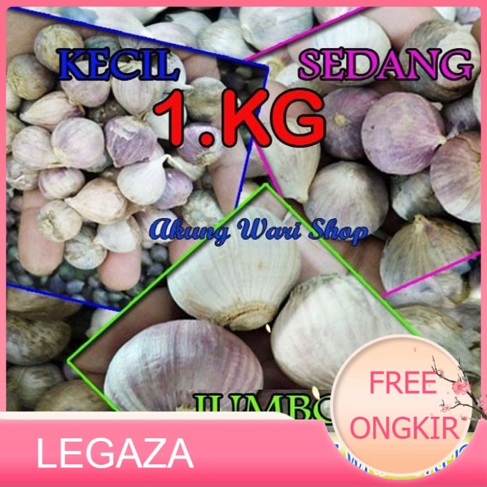 

Bang Putih Tunggal / Bang Putih Lanang - BESAR/JUMBO, 1 kg - Legaza
