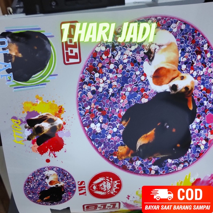 

Best Seller Jasa Sablon DTF A3 Print DTF Sablon DTF - 1 METER