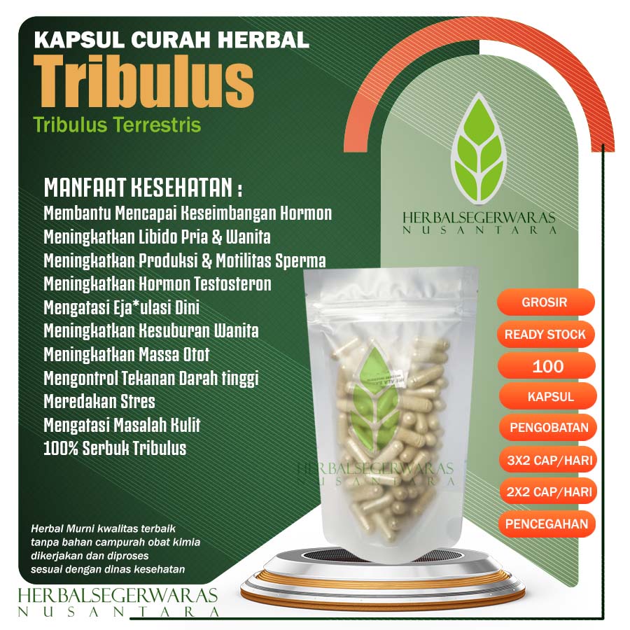 EXTRACT TRIBULUS TERRESTRIS 100 Kapsul Herbal Testosteron Libido Booster EDI