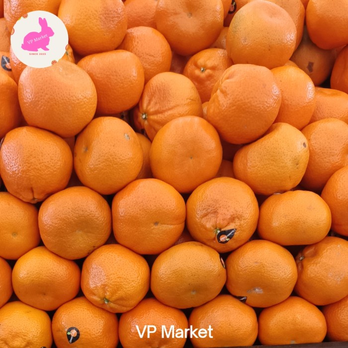 

Jeruk Import Nadorcot Clement Gold | Kg