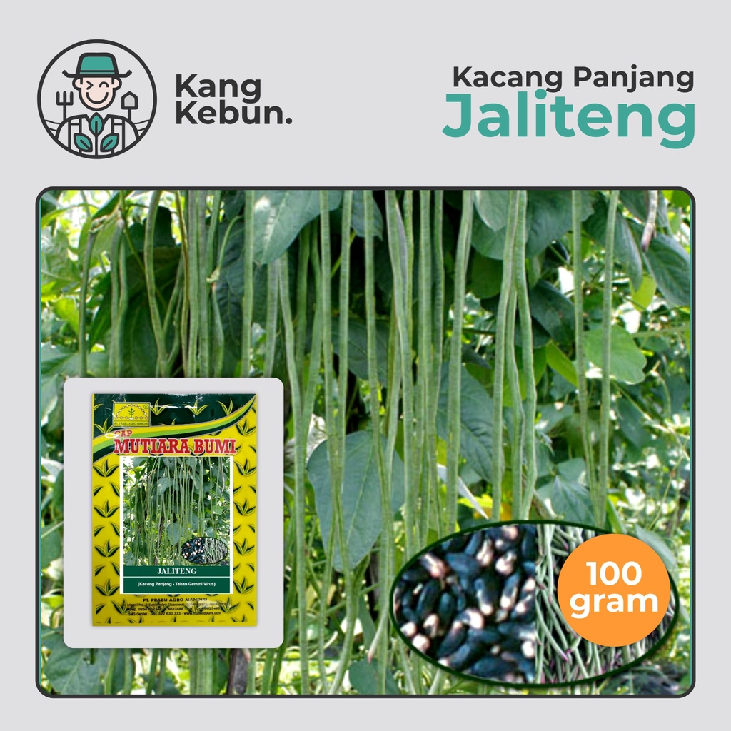 Benih Kacang Panjang Jaliteng 100 Gram isi 600-700 biji Cap Mutiara Bumi