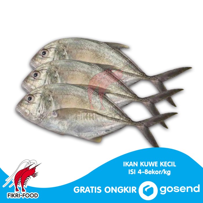 

Ikan Kuwe Kecil Segar