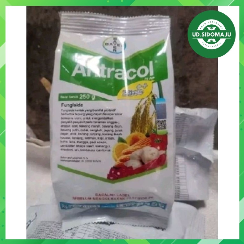 antracol 250 gram