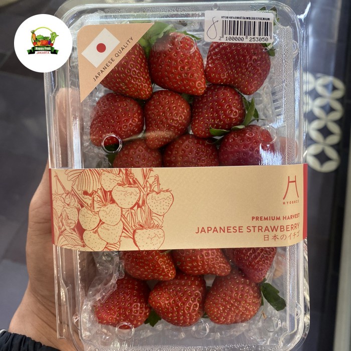 

Strawberry fresh | Buah strawberry bibit jepang manis segar pack