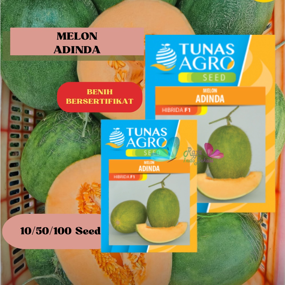 Biji Benih MELON ADINDA F1 Ori - Repack 100 Bibit Melon Hijau daging Orange Premium Eksklusive