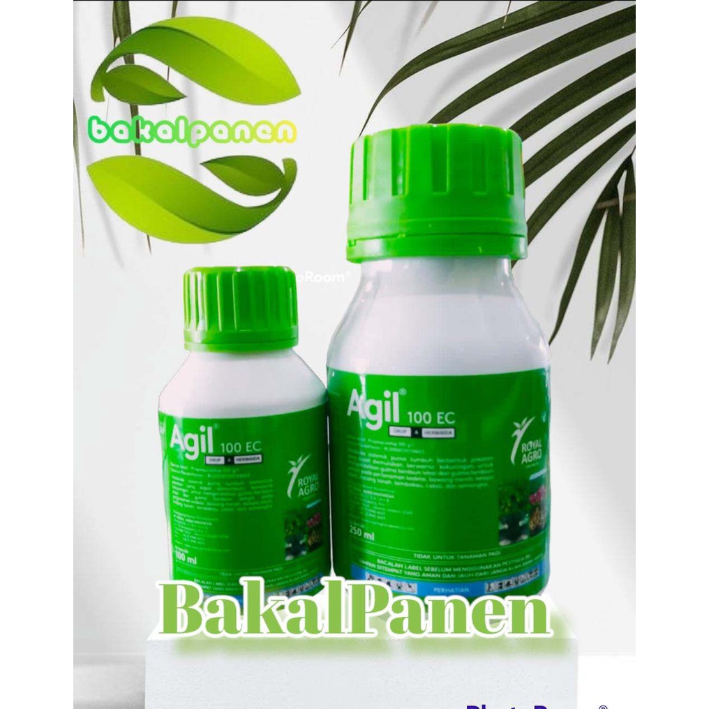 Herbisida obat gulma rumput AGIL 100EC