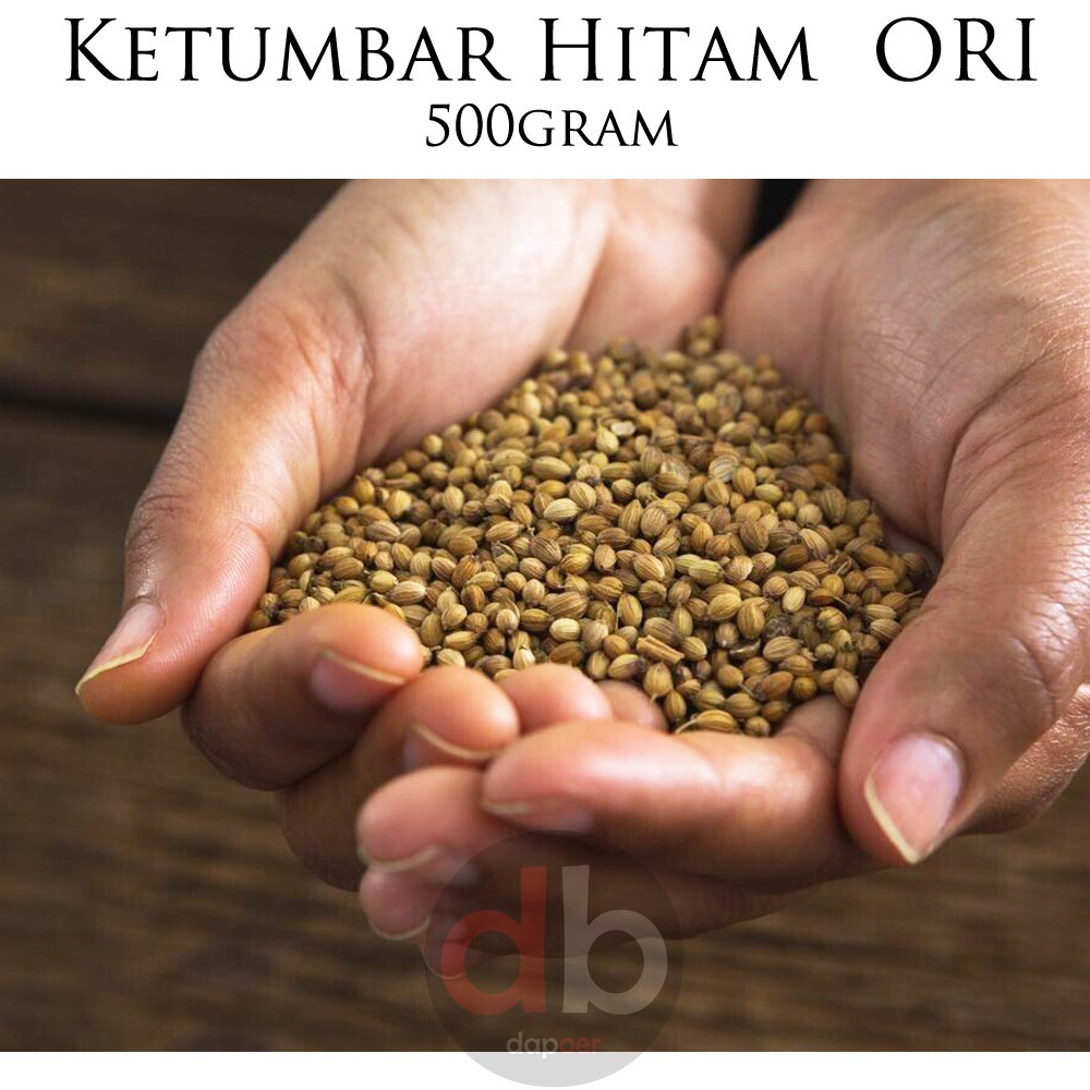 

Ketumbar Hitam Murni Asli 500gram | Ketumbar Hitam Premium Untuk Kesehatan