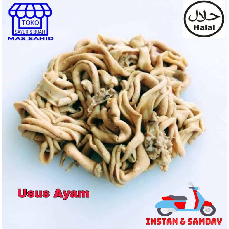 

INSTAN Usus Ayam Segar 1 Kg