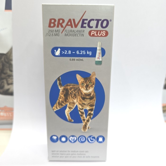 BRAVECTO / CAT/ OBAT KUTU KUCING / diatas 2,8 - 6,25 kg