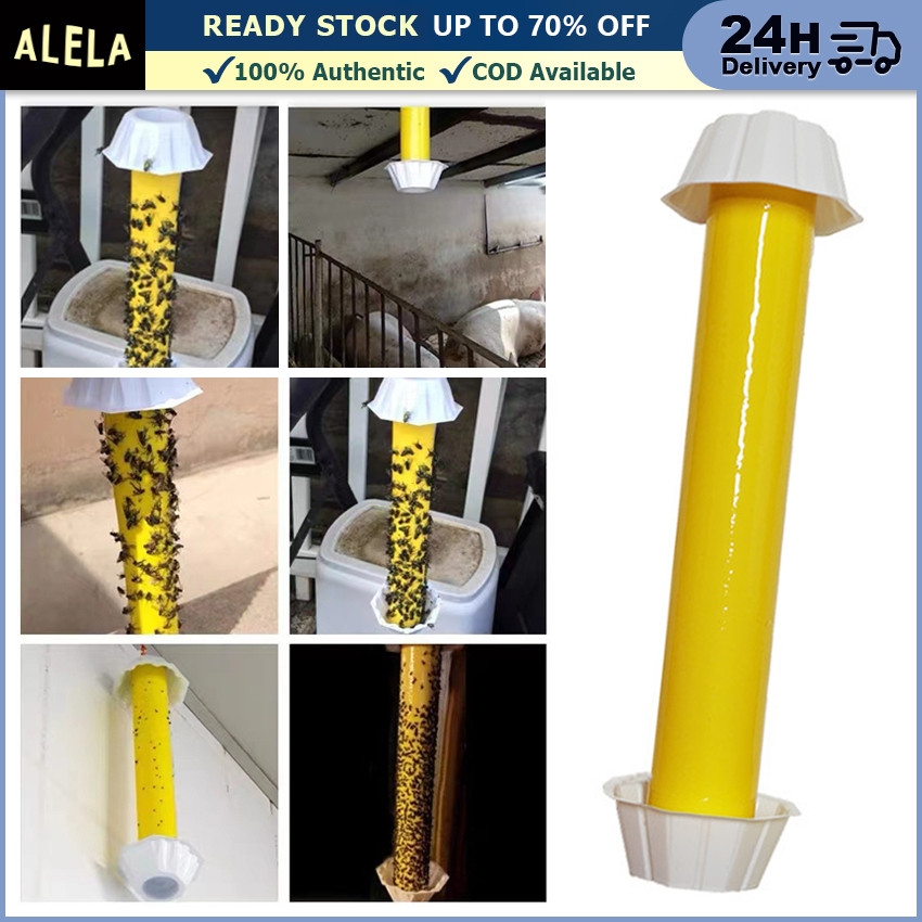 Lem Perekat Lalat Buah Serangga Mengendalikan Lalat Buah Lem Stik Perangkap Serangga Lalat Buah Terb