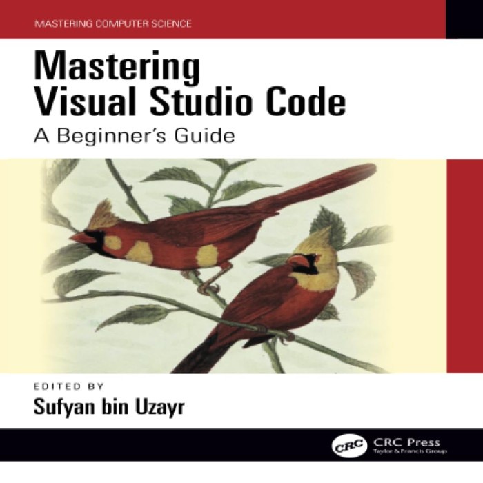 Buku Mastering Visual Studio Code: A Beginner's Guide