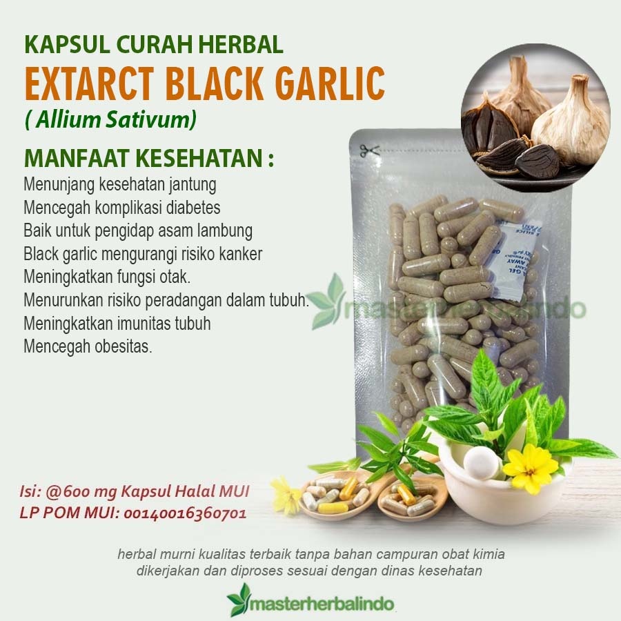 Kapsul Herbal extract Black Garlic Jantung Diabetes Asam Lambung Obesitas
