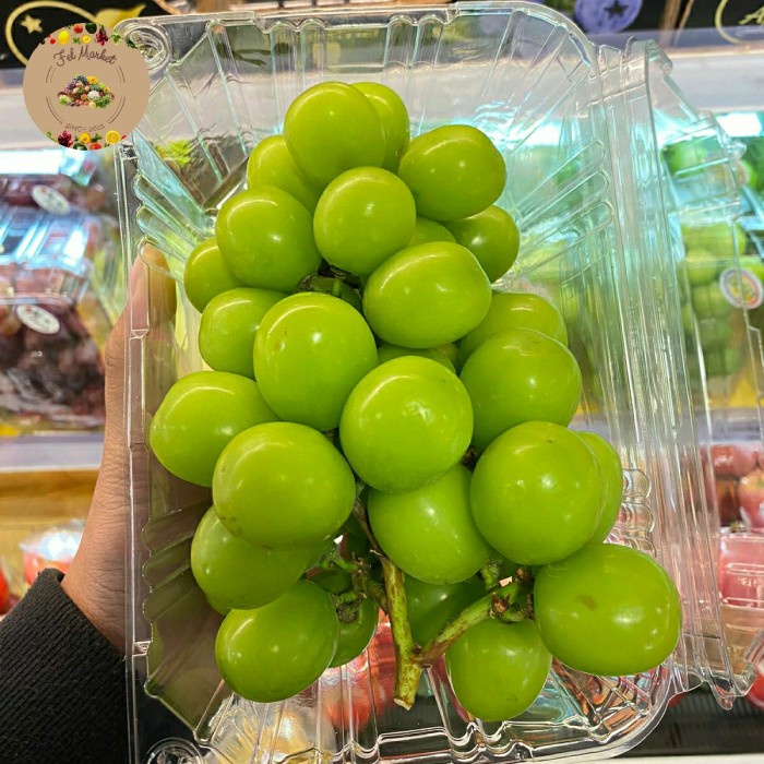 

Anggur Muscat Manis & Seedless | Buah Anggur Muscat Premium -+ 800 Grm