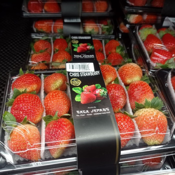 

Strawberry fresh bibit jepang |Buah strawberry Duluxe saga jepang pack