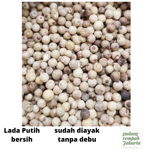 

New Produk Terlaris lada putih 1 kg - 1/4 kg
