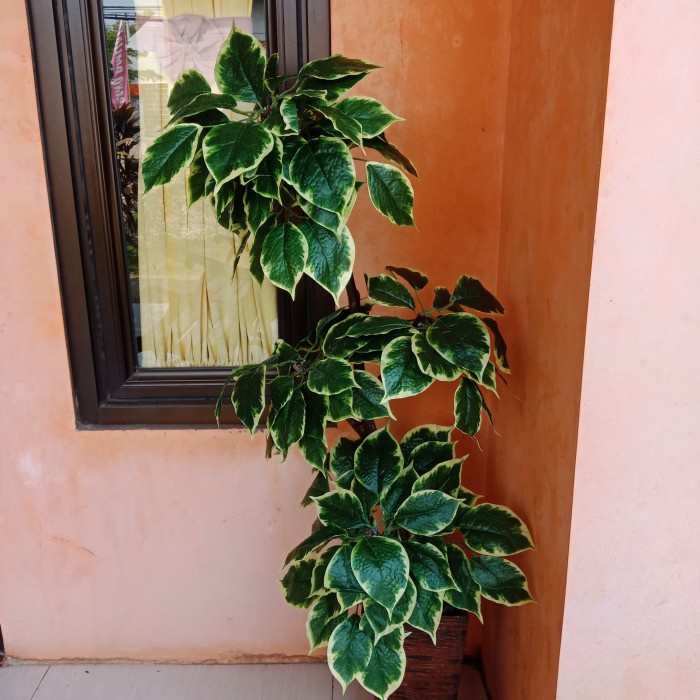 Pohon shinfu Artificial Pohon Plastik Hiasan Sudut Rumah