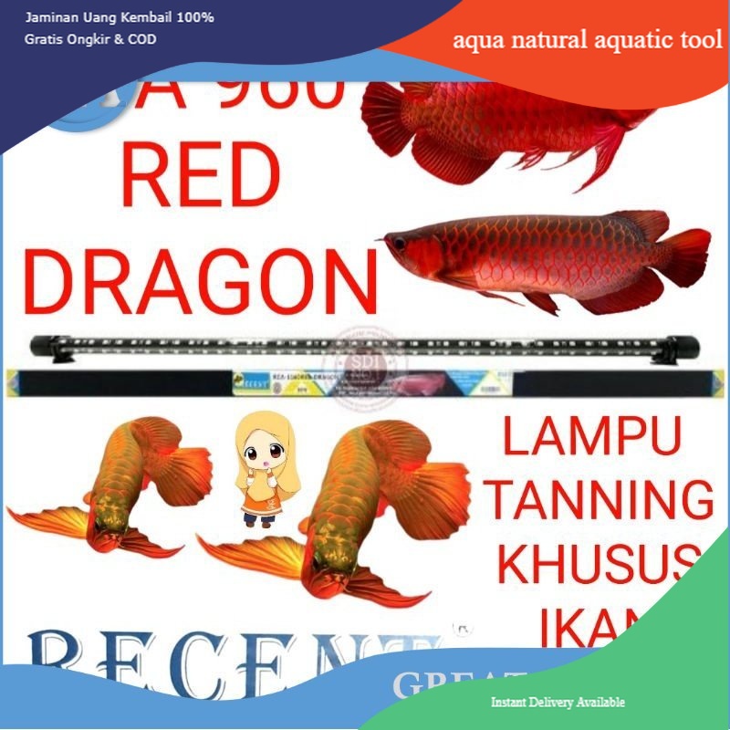 LAMPU TANNING AQUARIUM RCA 960 RED DRAGON RECENT