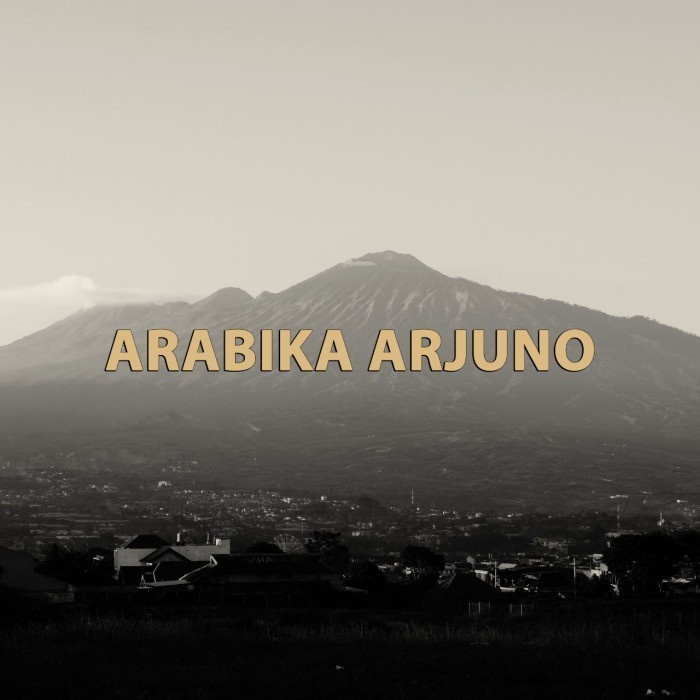 

Arabika Arjuno - 1000gr - Biji