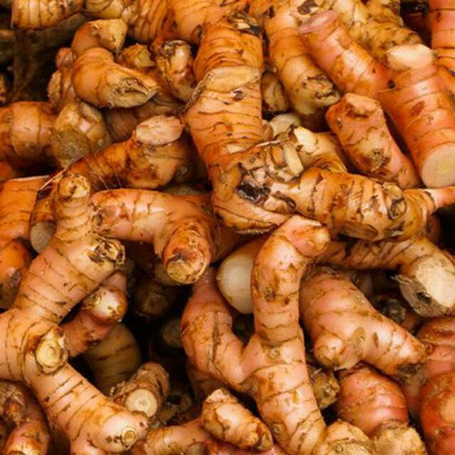 

Lengkuas Laos fresh