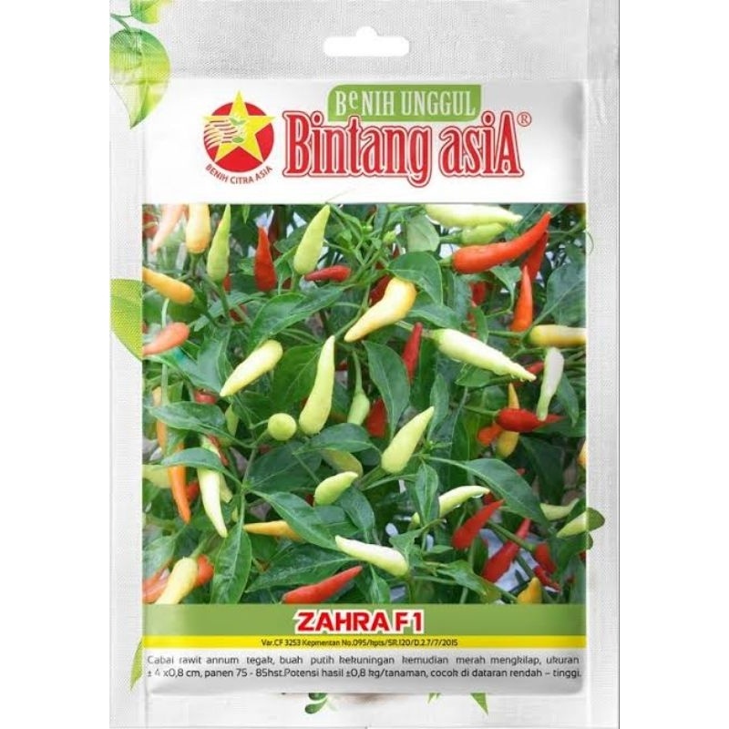 benih cabe ZAHRA f1 1 gram Bintang Asia