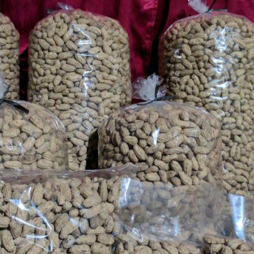 

Kacang Kulit Sangrai 500g Snack Kiloan Kacang Bakar SSG