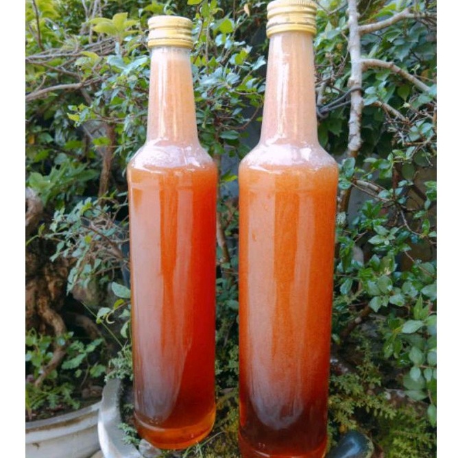

Madu Hutan Liar Asli Murni TS