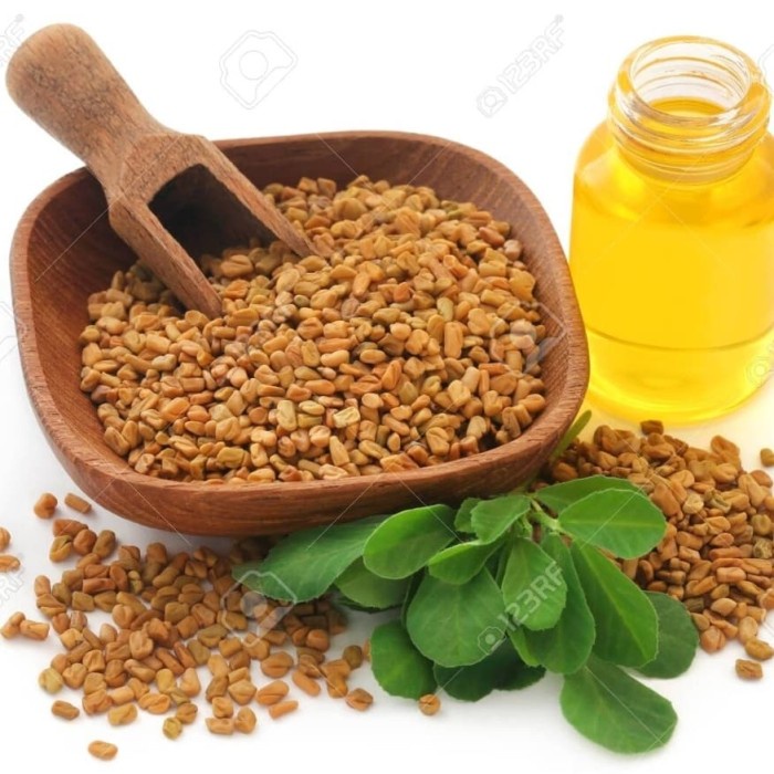 

BEST - Fenugreek Seed 1kg/ Biji Klabet 1kg/ Methi Seed 1kg Terjangkau