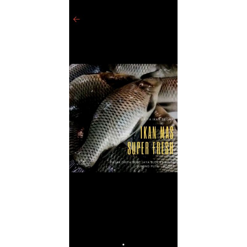 

INSTAN IKAN MAS Fresh