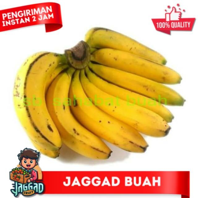 

Buah pisang ambon sukabumi JAGGAD FRUIT