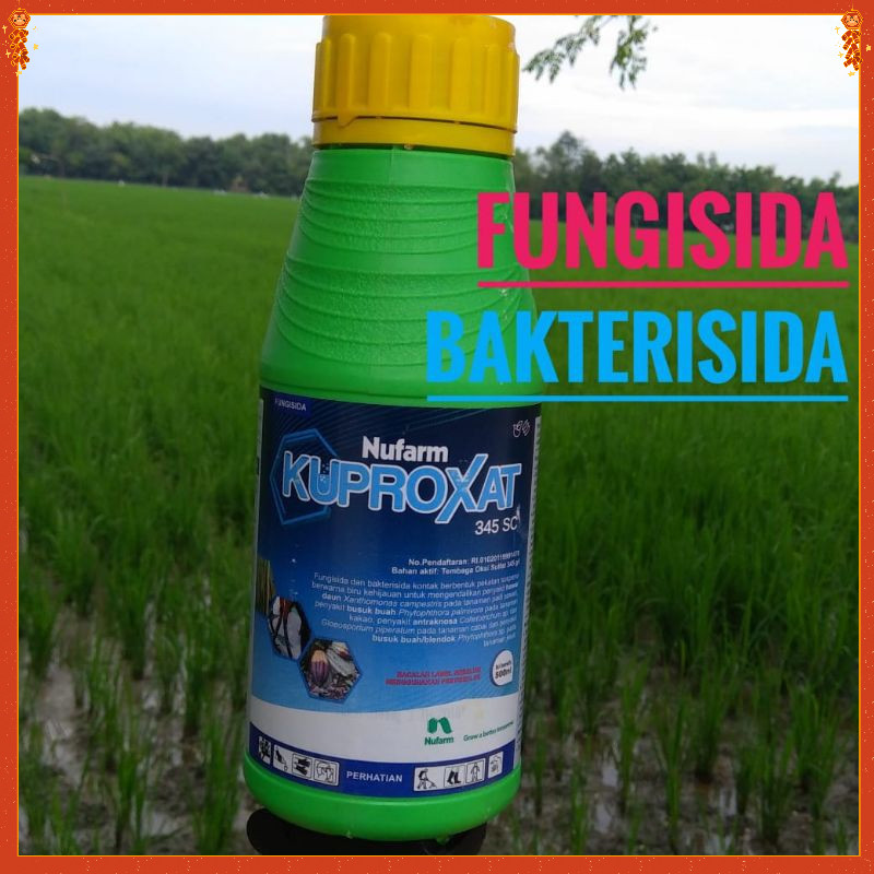 fungisida nufarm KUPROXAT 345 sc 500 mili