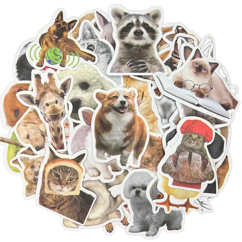 

10/30/50Pcs Funny Animal Waterproof Graffiti Sticker Aesthetic Decorative Luggage Laptop Cup Phone Diary Scrapbook Kids Stickers