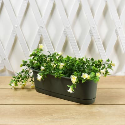 Clover Pot Bunga Slim - Hijau Tua