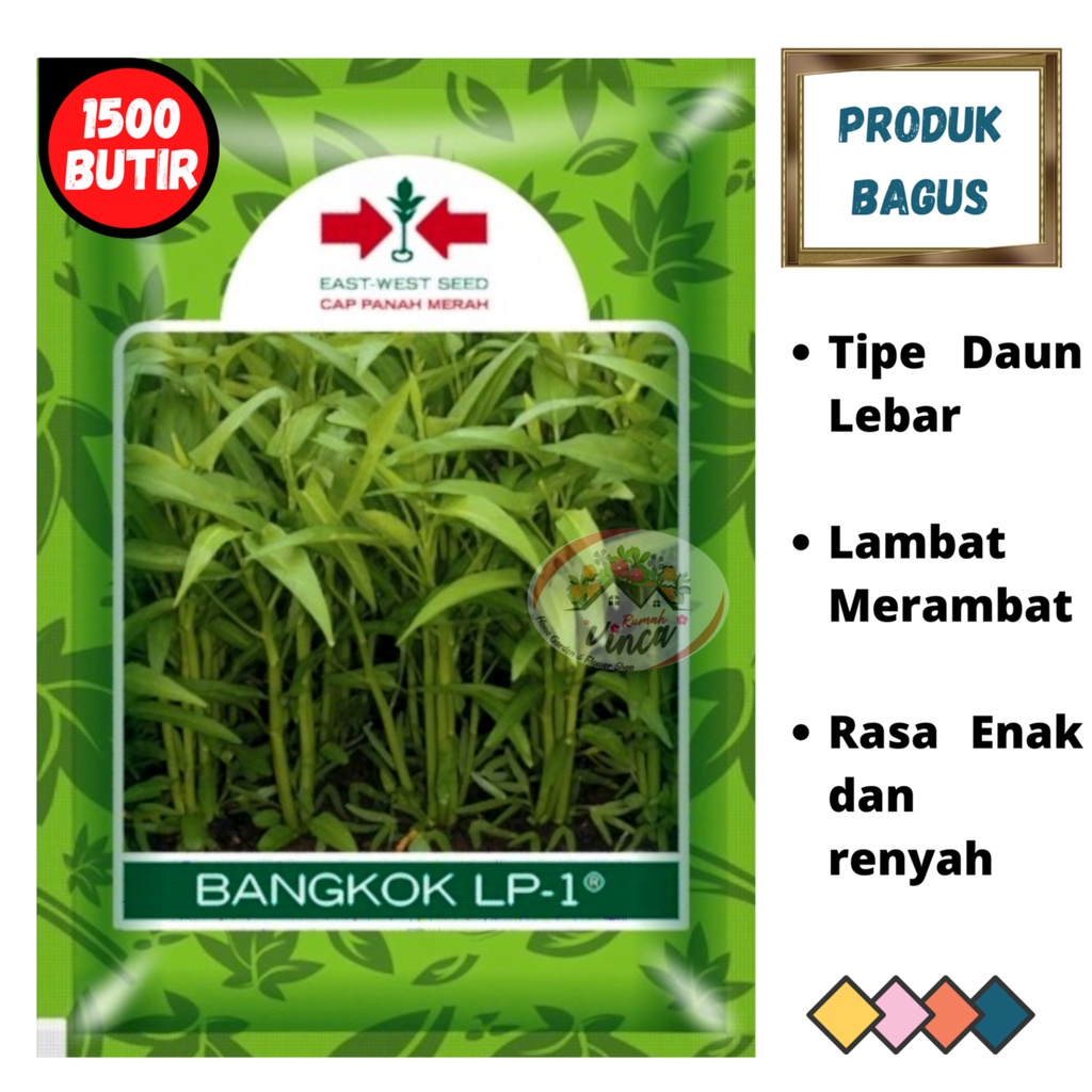 Benih Bibit Kangkung Bangkok Lp1 1500 butir Cap Panah Merah kangkung Darat