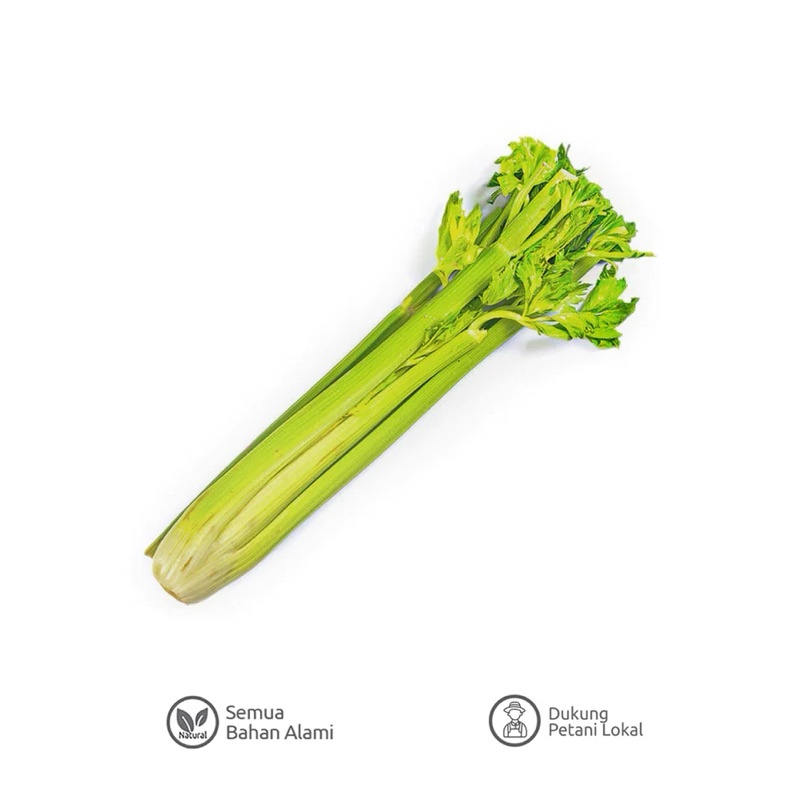 

Celery Stick import Seledri Stik importkualitas PREMIUM dan FRESH 250g