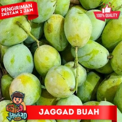 

Mangga Indramayu 500 gr/1 kg JAGGAD FRUIT