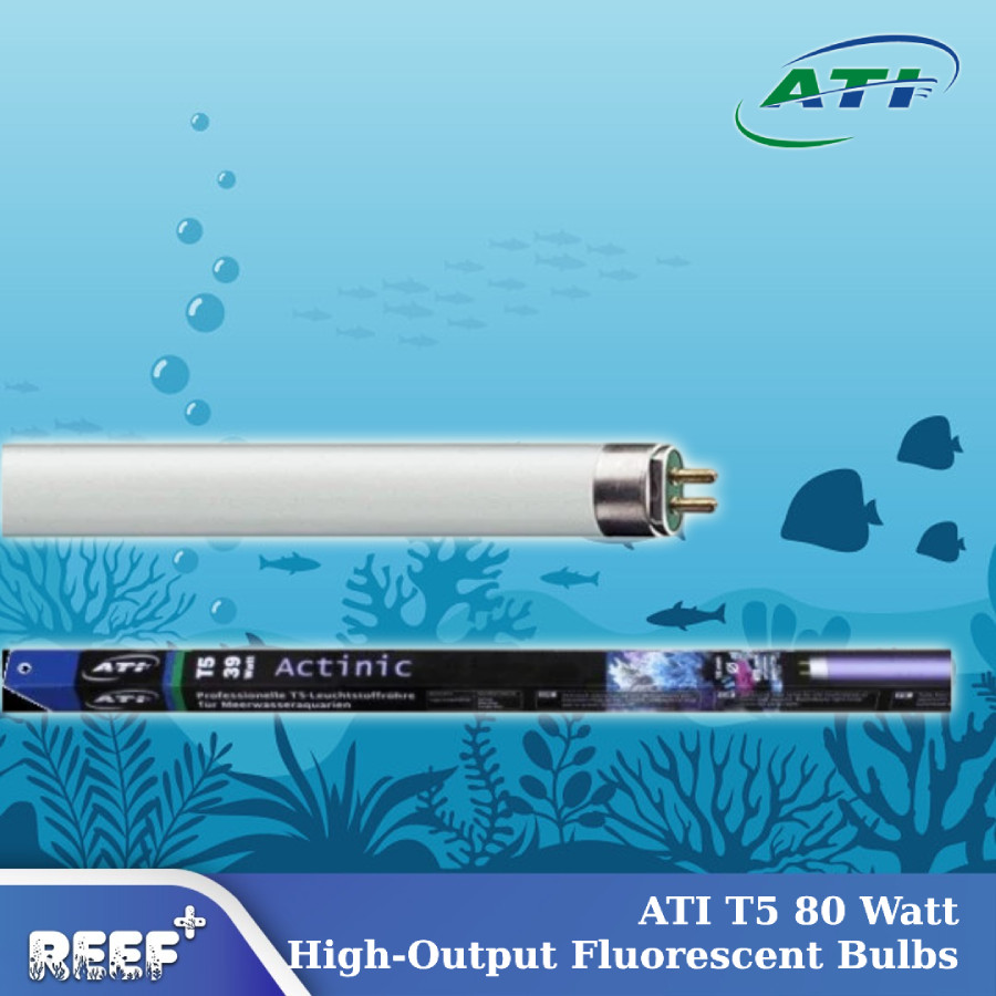 ATI T5 80 Watt Lampu Aquarium High Output Light Bulb - True Actinic