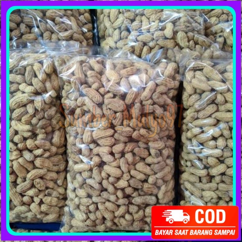 

1Kg Kacang Kulit Sangrai Madura Camilan Kacang sangrai Camilan Kacang Oven Kacang Di Sangrai