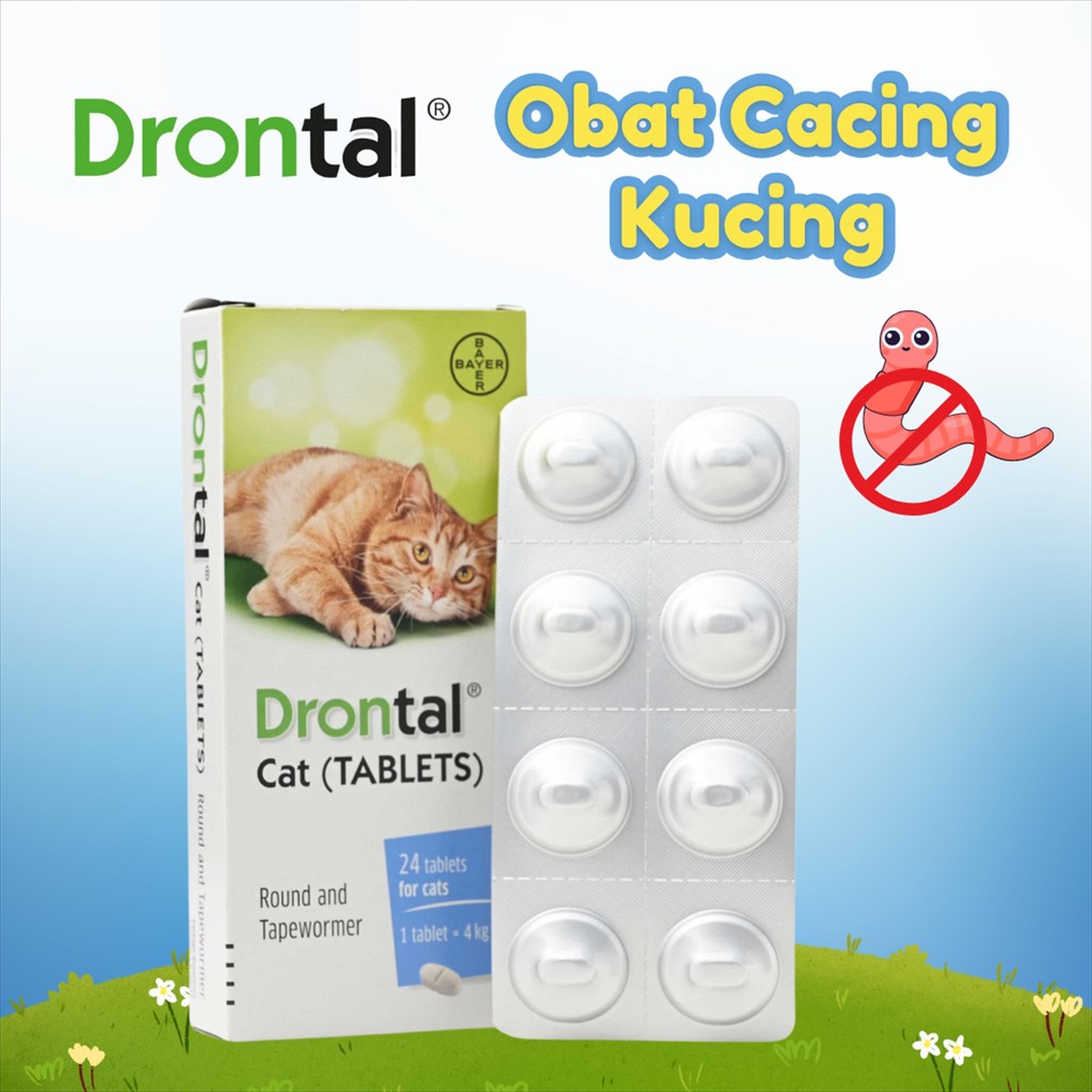 DRONTAL CAT / OBAT CACING DRONTAL / DRONTAL OBAT CACING KUCING