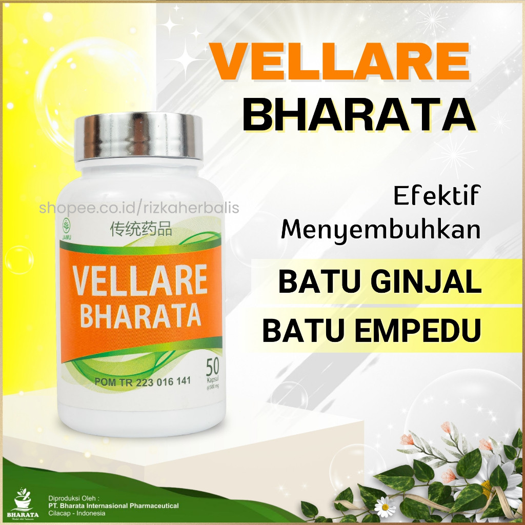 VELLARE Bharata Original Obat Penghancur BATU GINJAL KENCING BATU EMPEDU Herbal Tanpa Operasi Velare