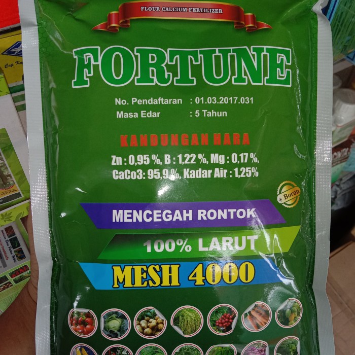 Pupuk Kalsium Ratu Mencegah Rontok MESH 4000 lebih Lembut