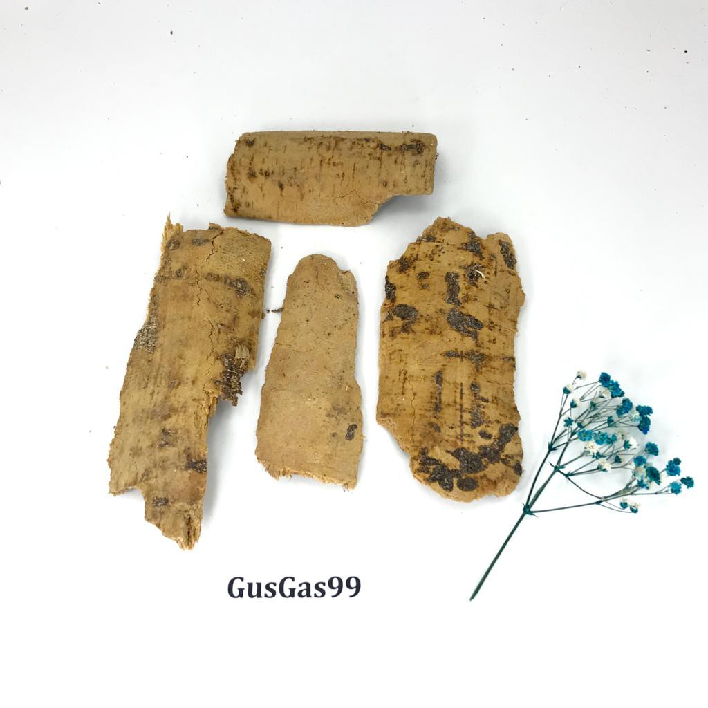 

(100gr) Kulit Kayu Pule Kering Herbal Rempah Tradisional Jurus Sehat Rempah JSR