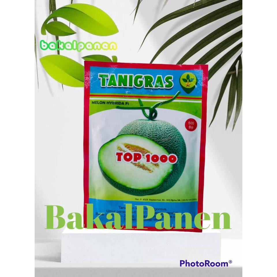 bibit benih melon hibrida f1 tanigras top 1000 isi 500 biji exp juli 2023