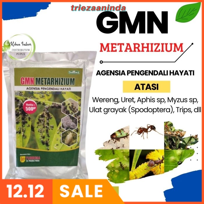 Insektisida Organik Metarhizium / Metarizium, Insektisida Obat Hama